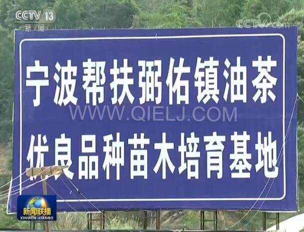新聞聯播決戰決勝脫貧攻堅之油茶樹串起的產業鏈(圖2) 新聞聯播決戰決勝脫貧攻堅之油茶樹串起的產業鏈(圖2)